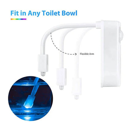 Smart Toilet Sensor Light